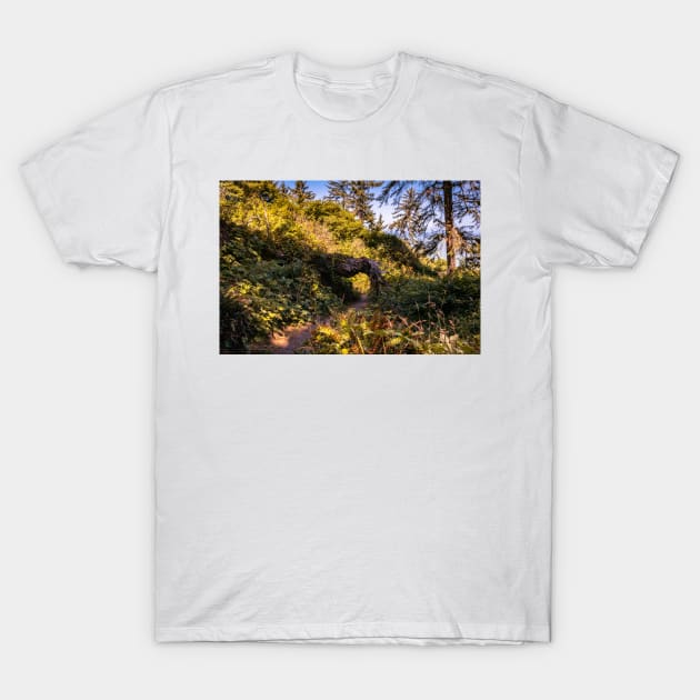 Hiking trail and a tree tunnel T-Shirt by blossomcophoto